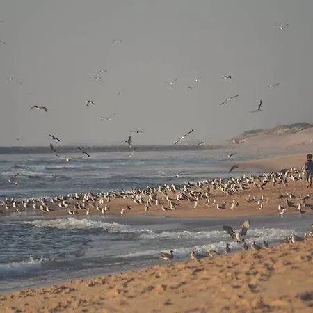 Dom Quixote Turisticos