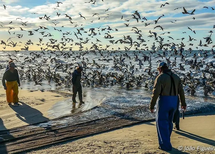 Dom Quixote Turisticos Apartmán Praia de Mira