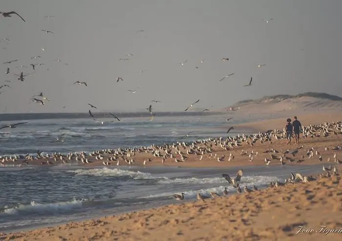 Dom Quixote Turisticos